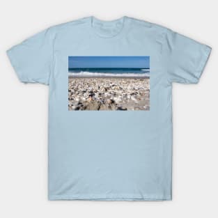 shells on the beach T-Shirt